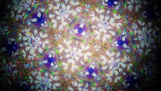 P1100666