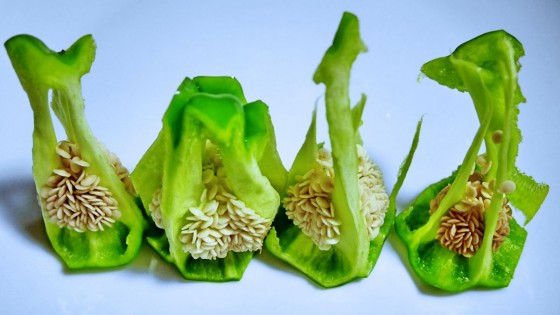 P2180700
