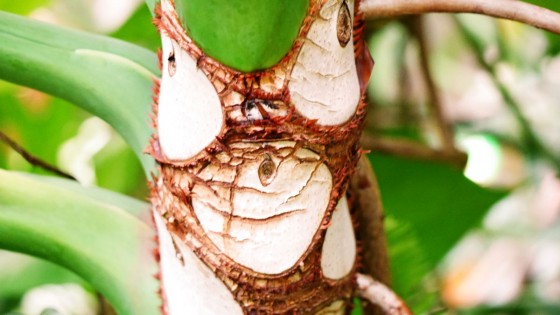 P2200010