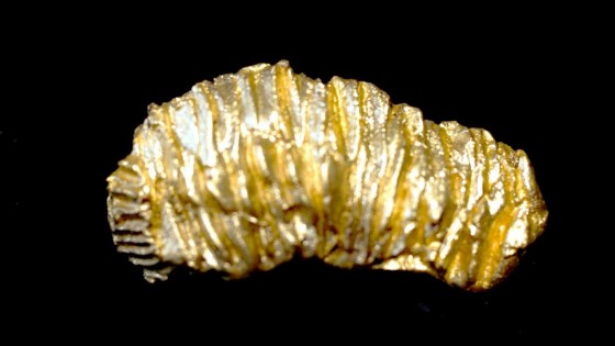 P2260936