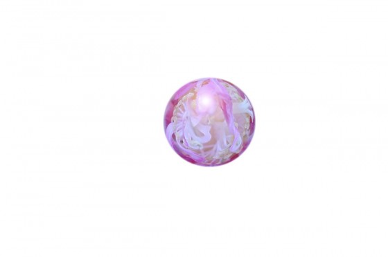 GGZ_4756ｰ芙蓉の真珠2