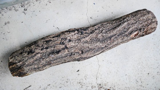 P2290932