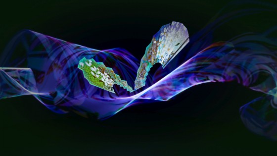 P2270441-e