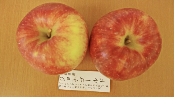 P2380988