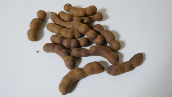 P2390335