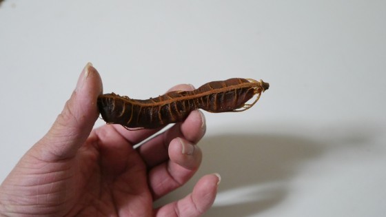 P2390343