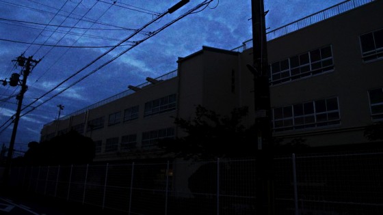P2390624