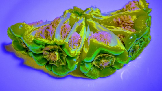 P2180701