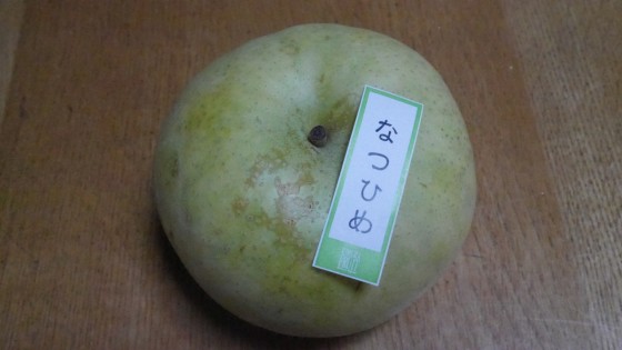 P2390896