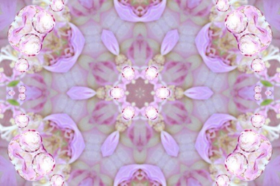 GGZ_4783ｰ芙蓉球-1