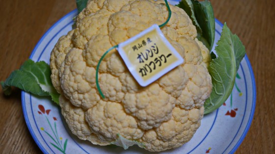 P2400072