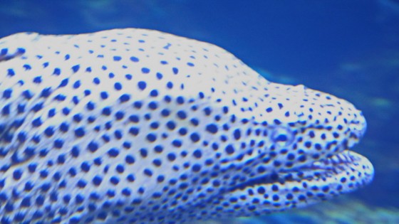 P2190551