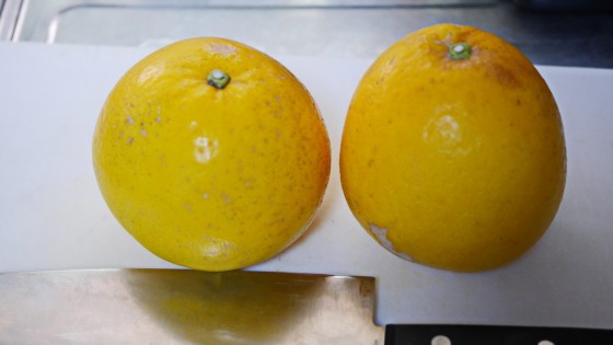 P3440564