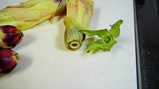 p3710238