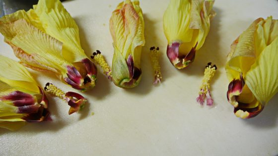 p3710239
