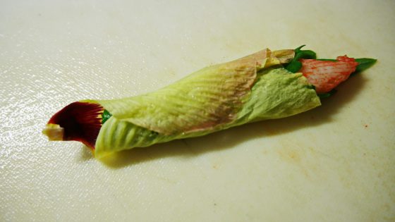 p3710243