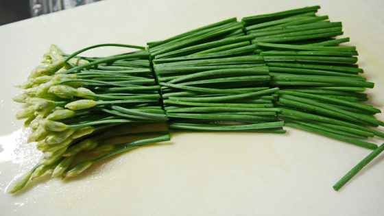 p3710260