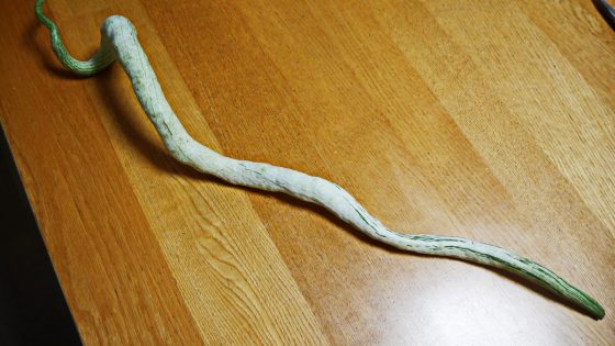 p3710316