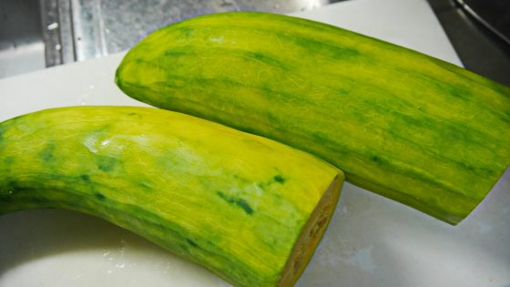 p3710364