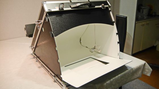 p3720090