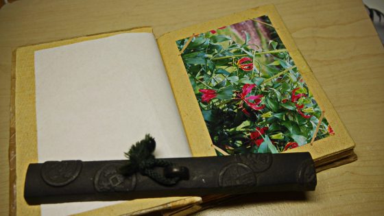 p3740339